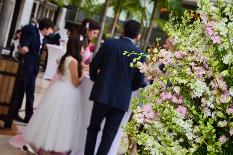 Engagement at Amethyste